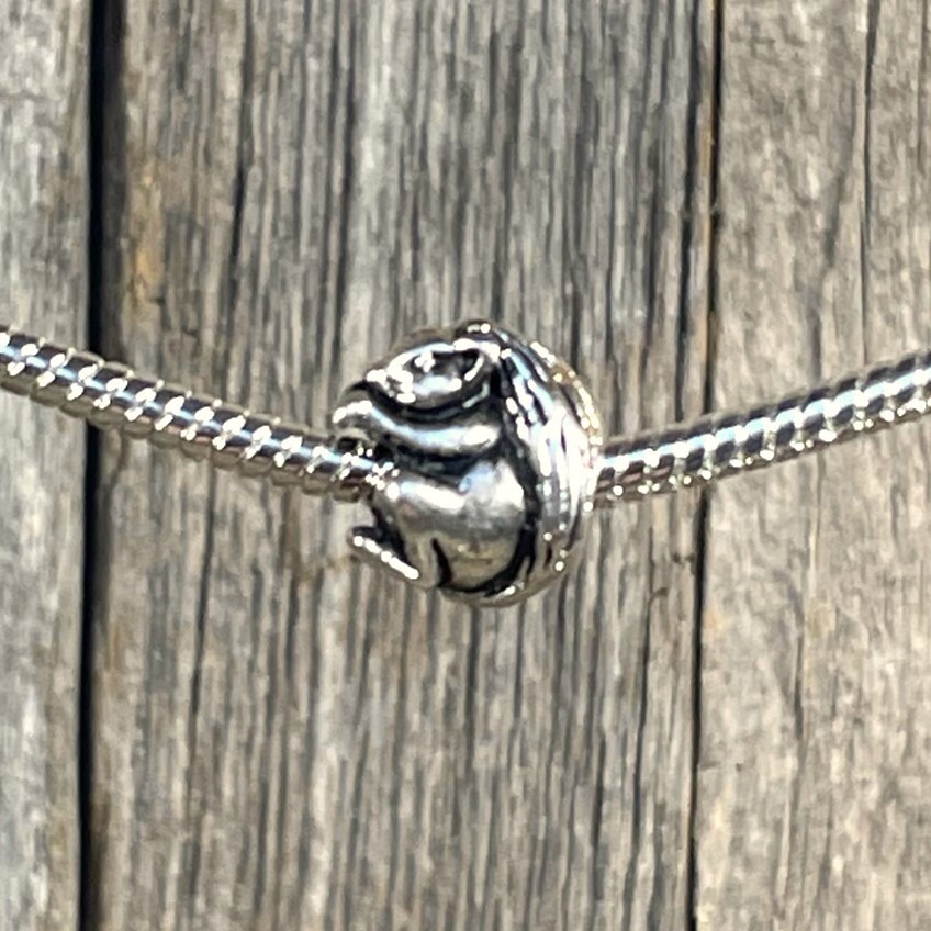 Squirrel Cute Animal Pet Lover Womens Girls New Silver European Charm Bead