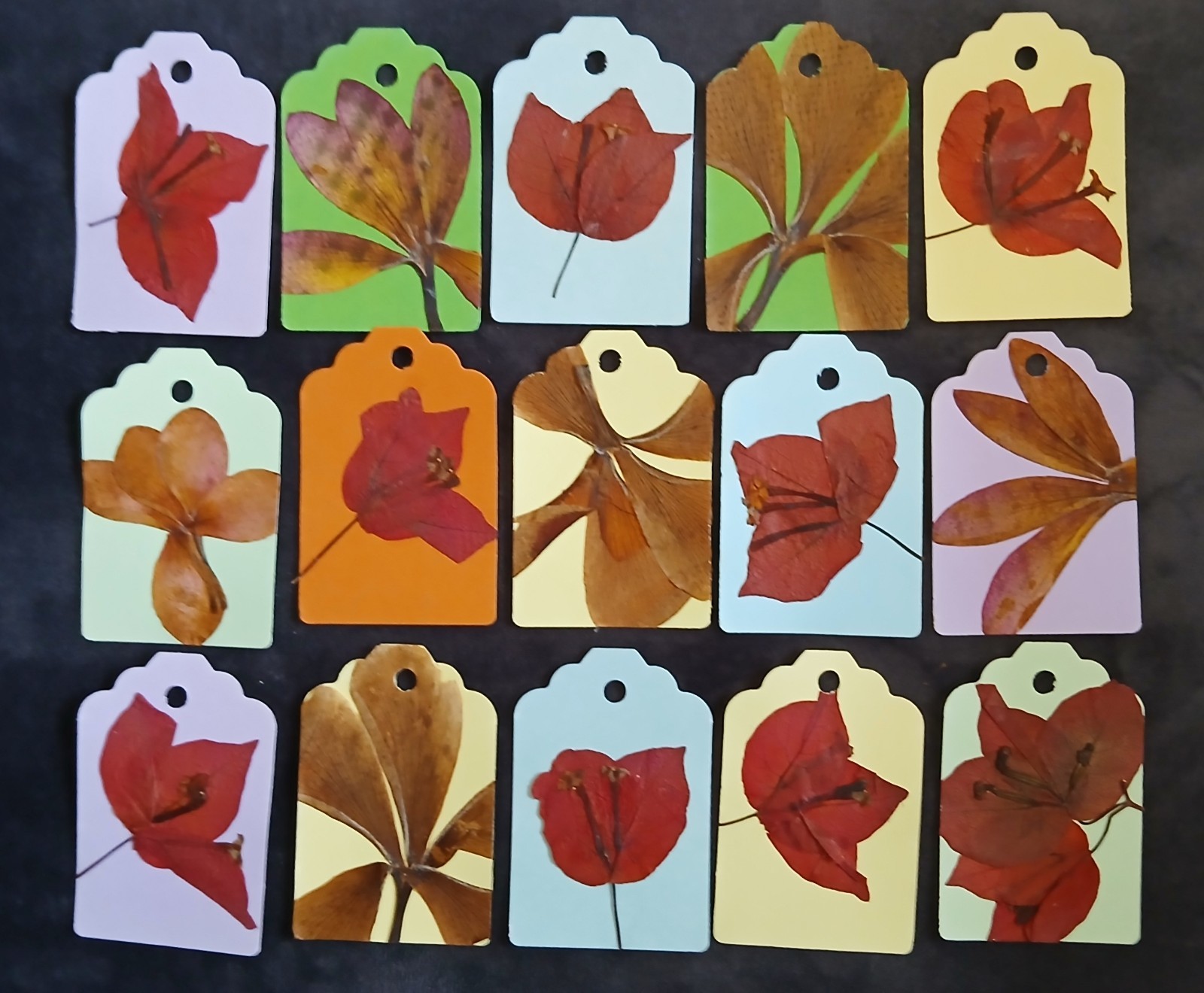 Handmade real pressed Barbadian flower gift labels tags