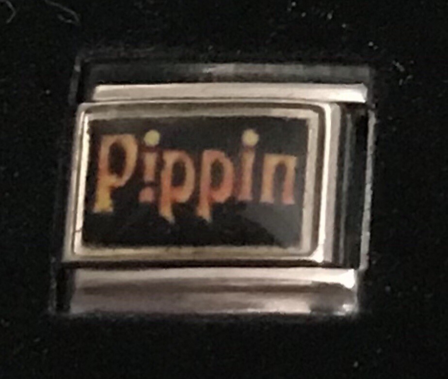 Pippin Italian Charm Enamel Link 9MM Broadway