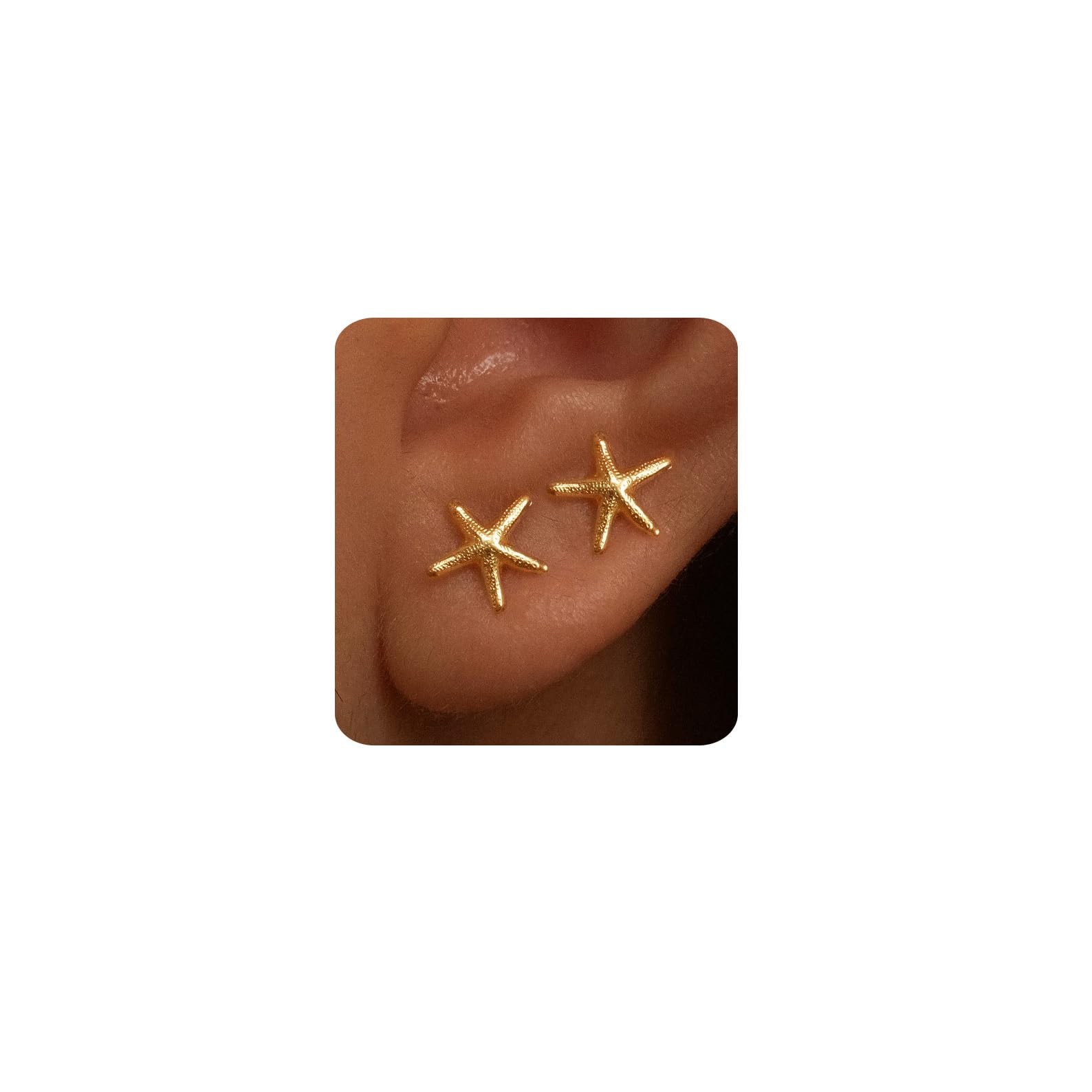Gold Earrings for Women Trendy 14K Starfish & Stud