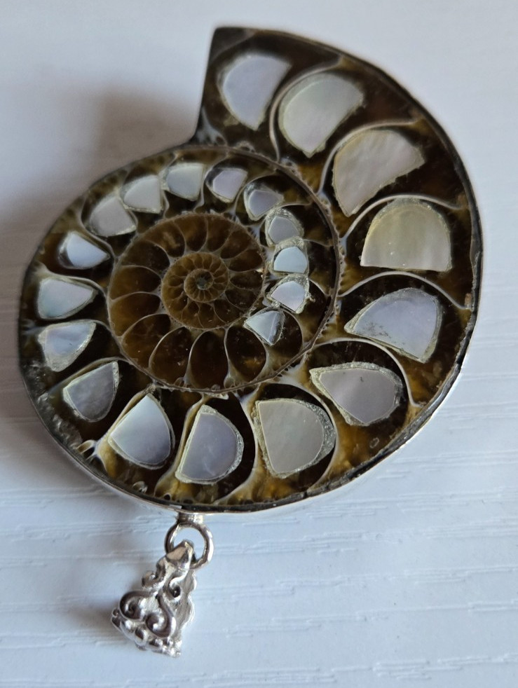 Large Ammonite Fossil Pendant with Mother of Pearl Inlay Silver 925 Frame 56 gr