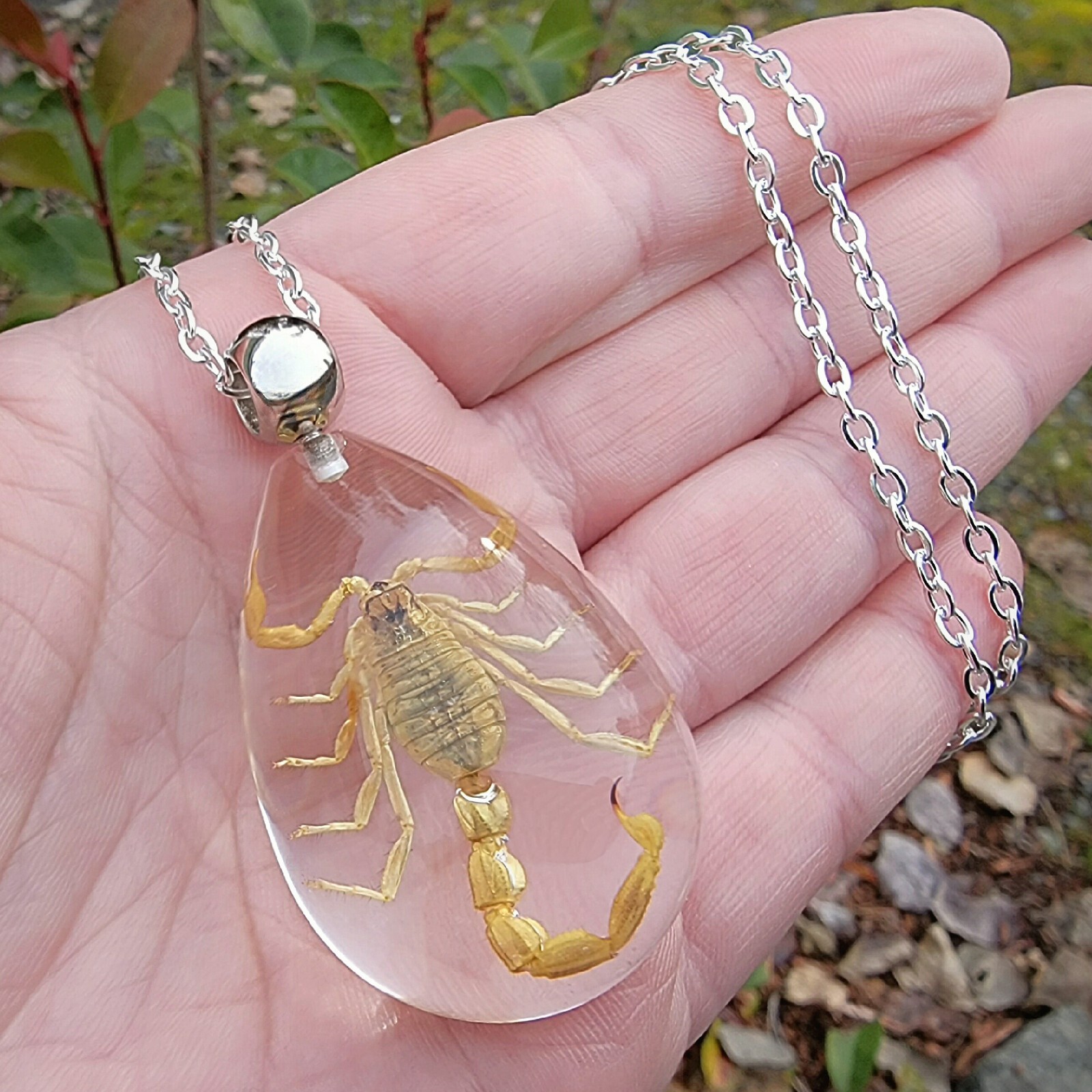 Yellow Scorpion Clear Necklace, Real Insect Jewelry, Mesobuthus Martensii