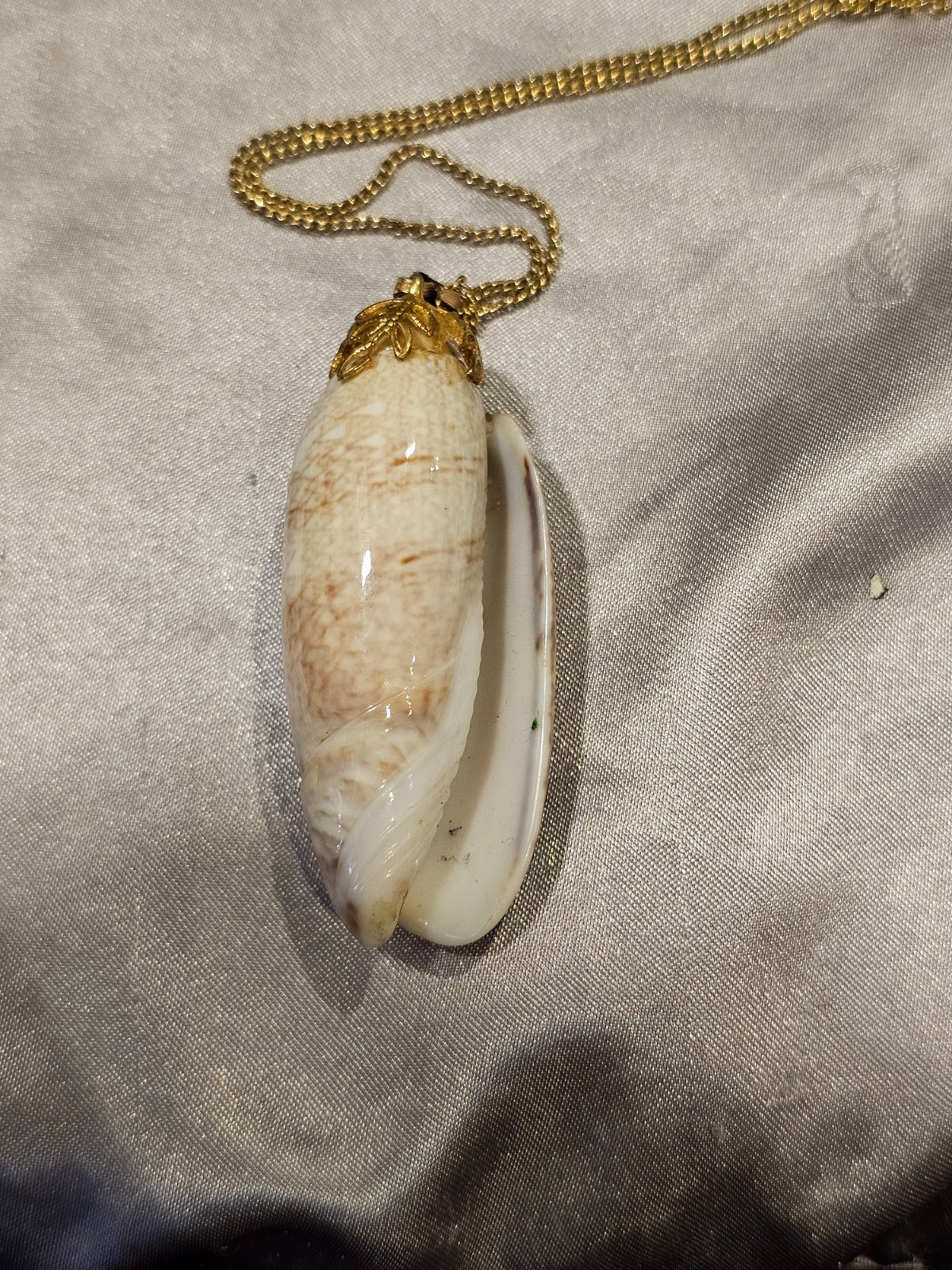 Natural Seashell Pendant Necklace – Gold‑Tone Chain, Coastal Boho Beach Jewelry