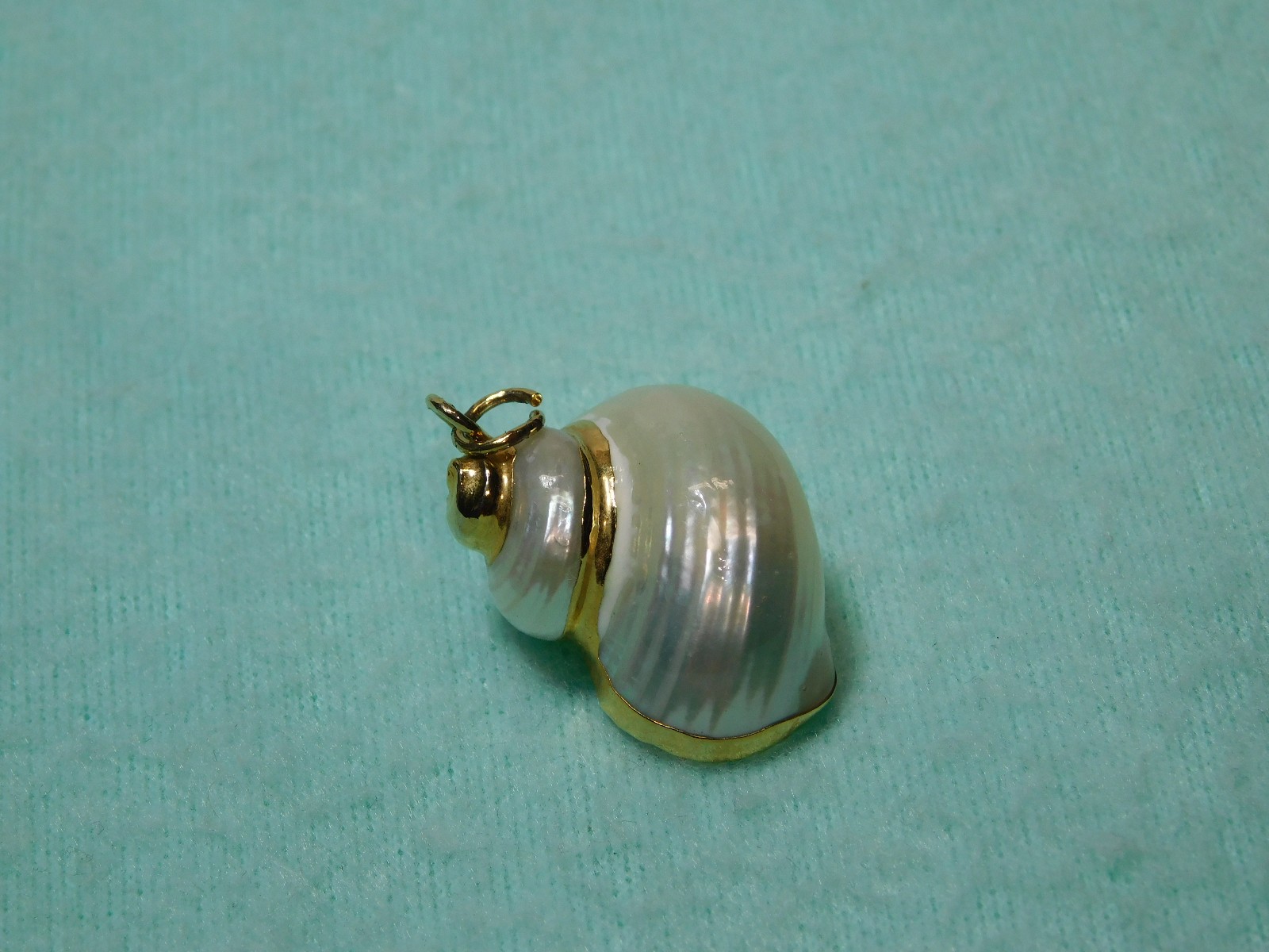 Vintage 2″ Snail Shell With Gold Color Trim Pendant in Very Good Cond.