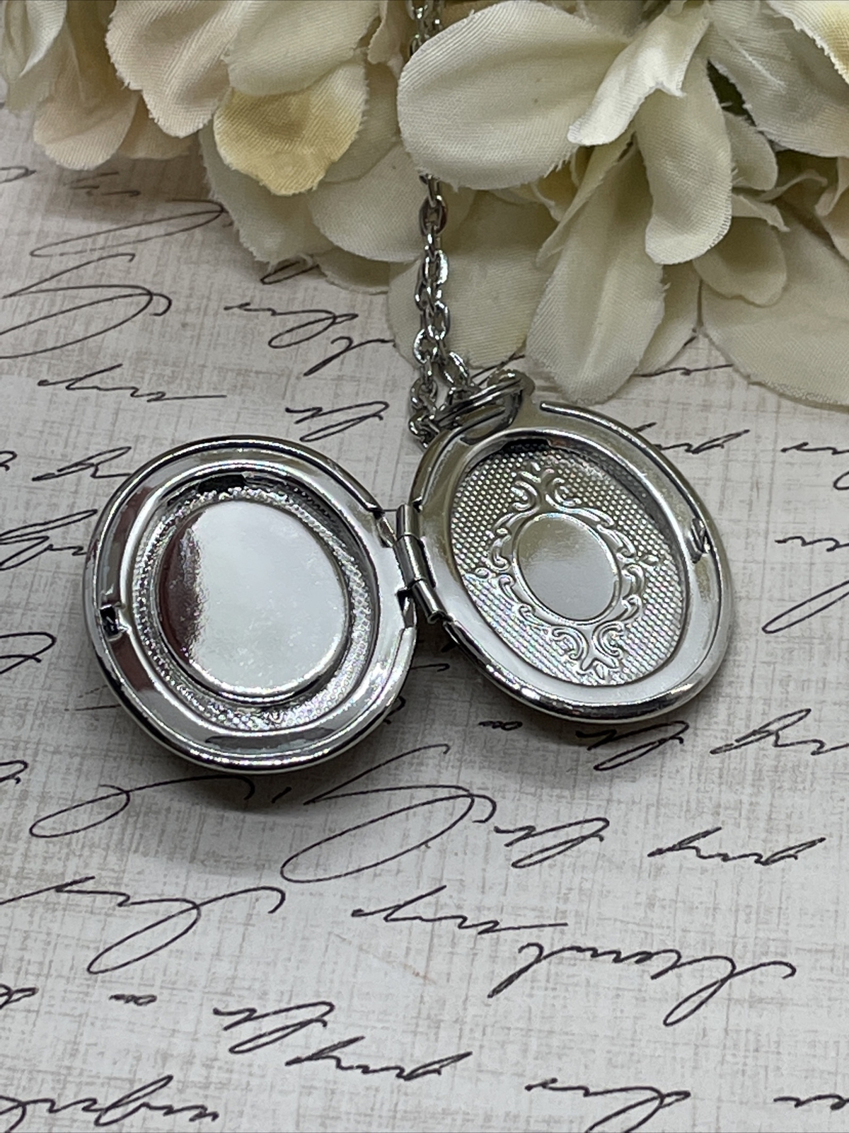Silver Raven Black Gray Crow Locket Necklace Pendant Gothic Wedding Festival