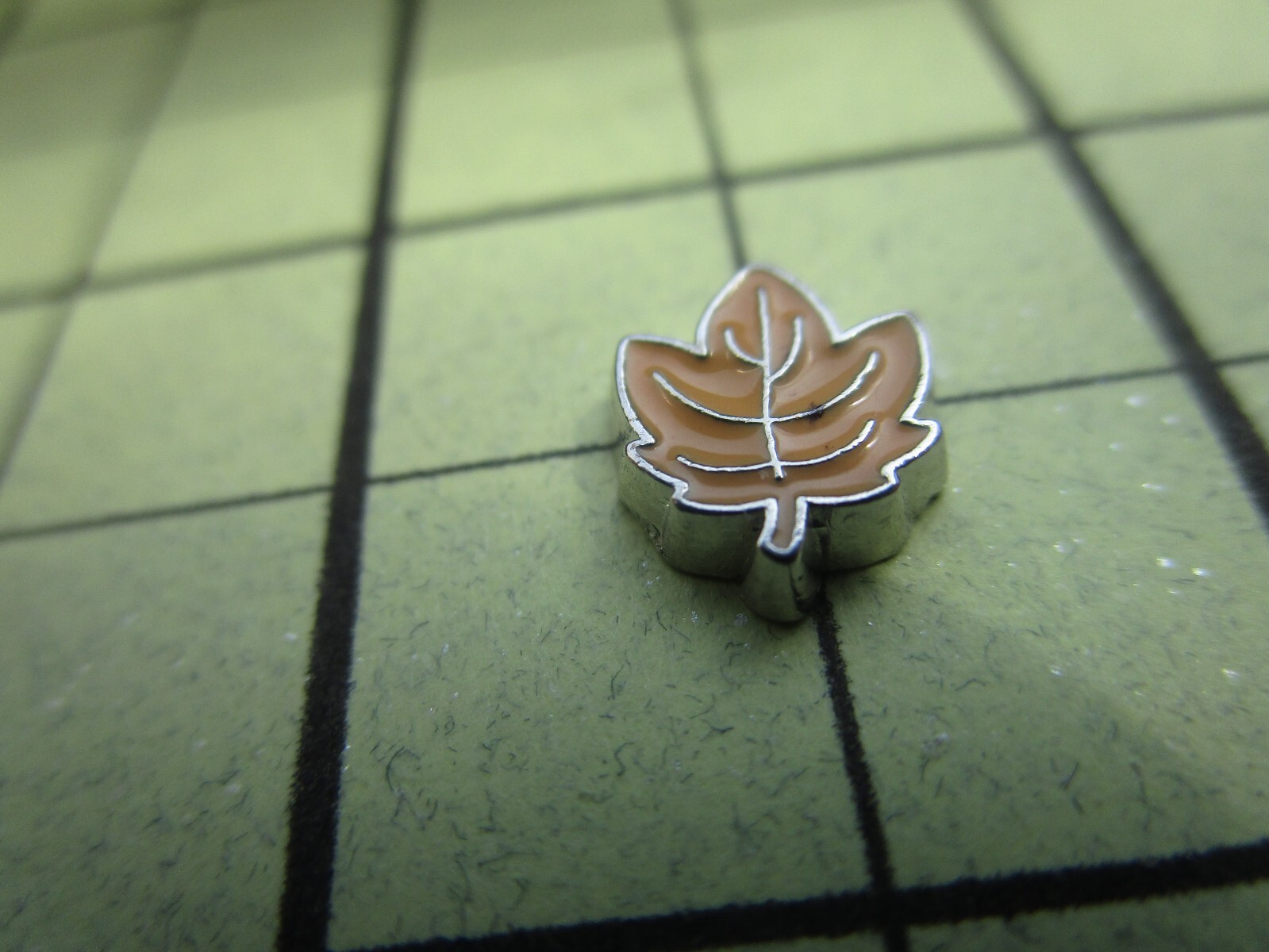 Colorful Enamel Nature, Flowers, Leaf, Spring Floating Charms to fit Origami Owl