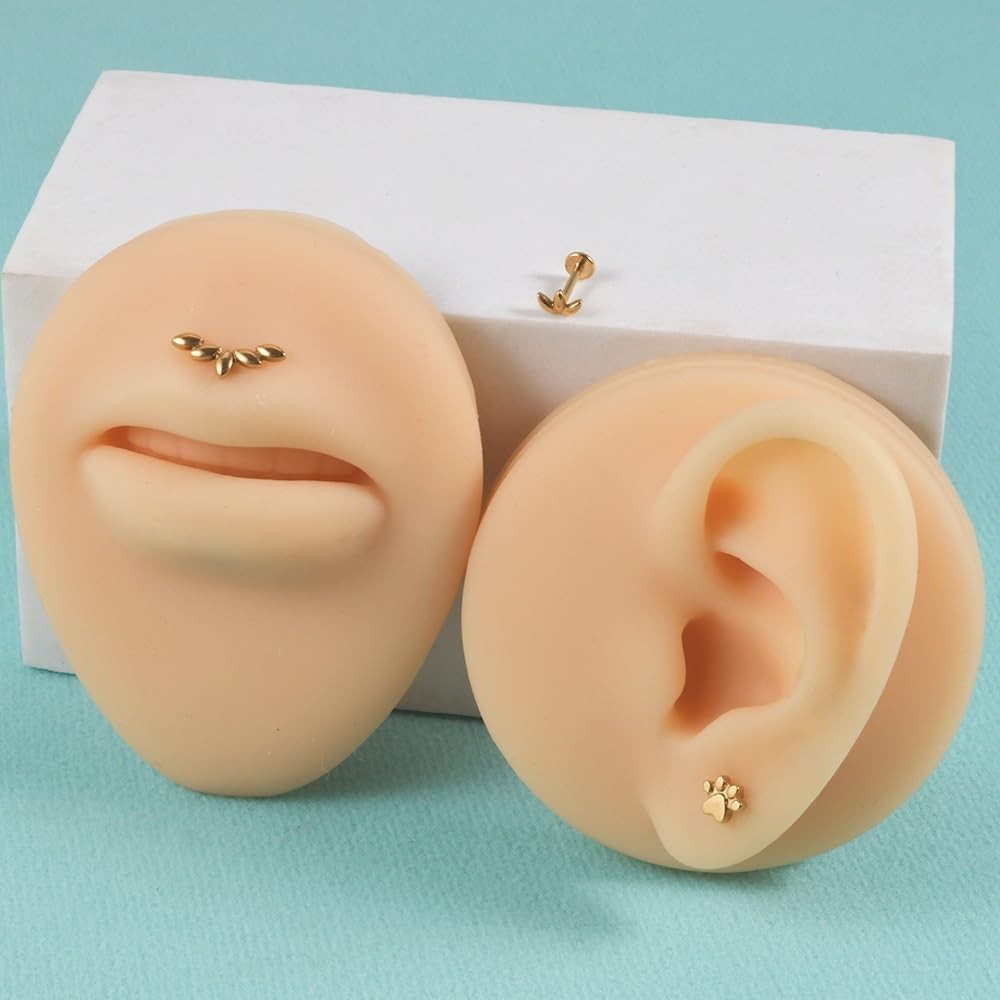 2Pcs 16G Stainless Steel Paw Cartilage Stud Earrings for Women Paw Print Flat…
