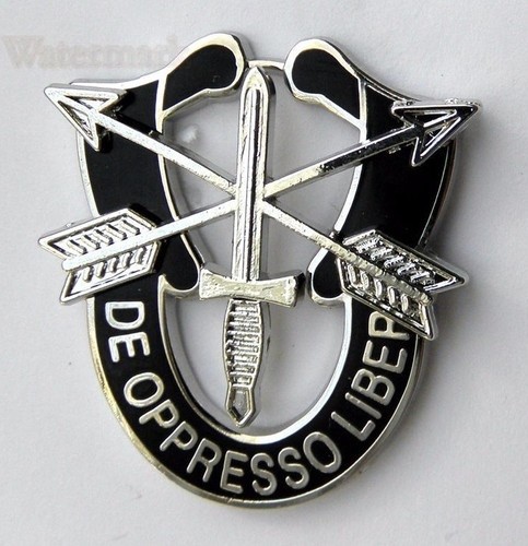 SPECIAL FORCES DE OPPRESSO LIBER Ranger AB Airborne Military Veteran US ARMY Pin
