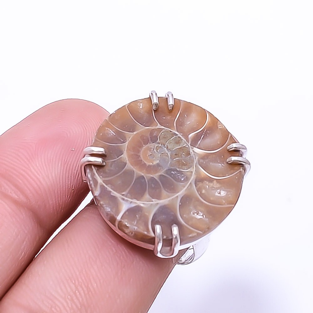 Cleoniceras Cleon Ammonite -Fossil Solitaire 925 Sterling Silver Ring s.7.5 R126