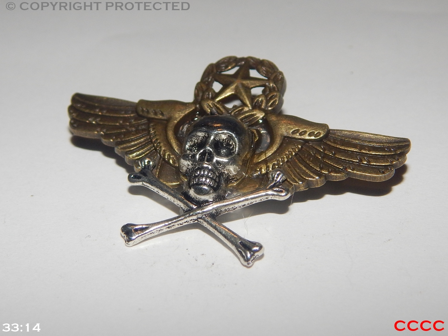 steampunk brooch badge skull & crossbones wings star wreath pirate Black sails