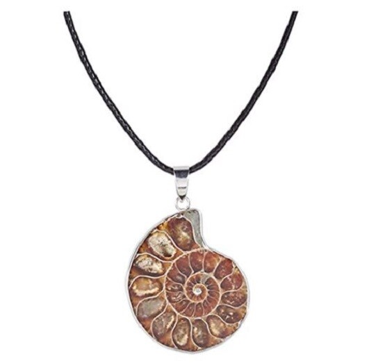Joan Nunu Natural Ammonite Fossil Pendant Necklace Spiral Shell Snail