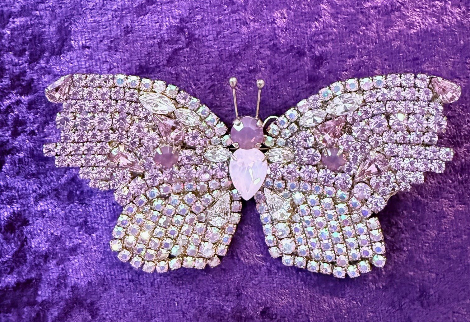 LOREN HOPE BUTTERFLY COLLECTION LARGE VIOLET IRIDESCENT ONE OF A KIND