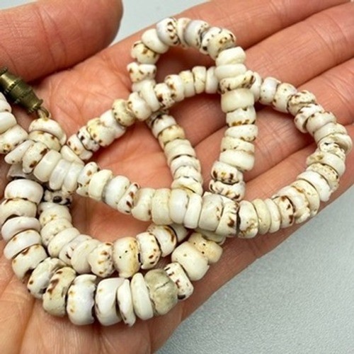 Vintage 1970’s Tiger PUKA Shell Hawaiian Choker Necklace 15″ Barrel Clasp 22g