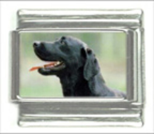 BLACK LABRADOR DOG BREED ITALIAN CHARM BRACELET LINK 9MM STAINLESS STEEL NEW