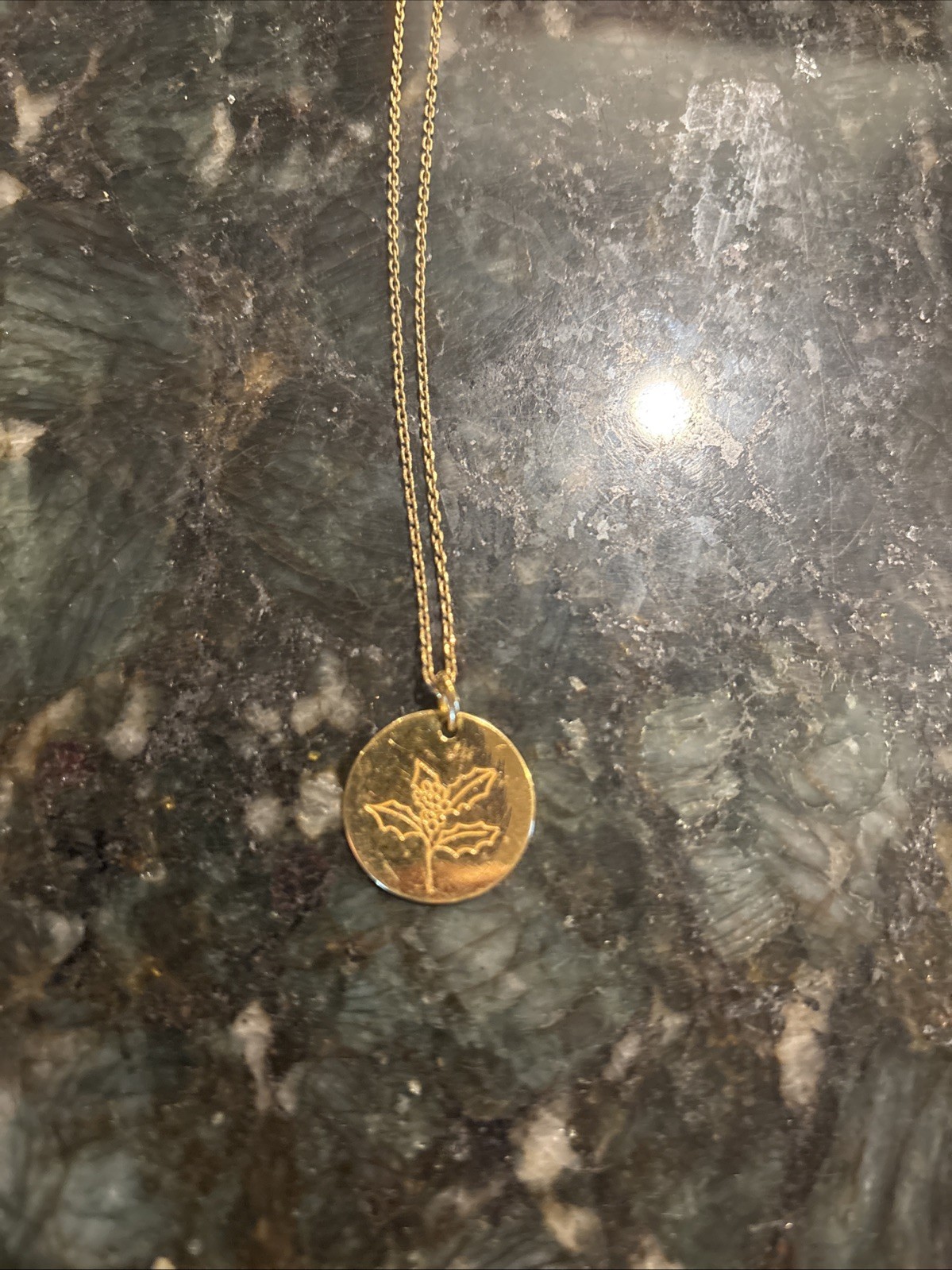 Urban Outfitters Gold Plated Holly Necklace | Dainty Gold Chain