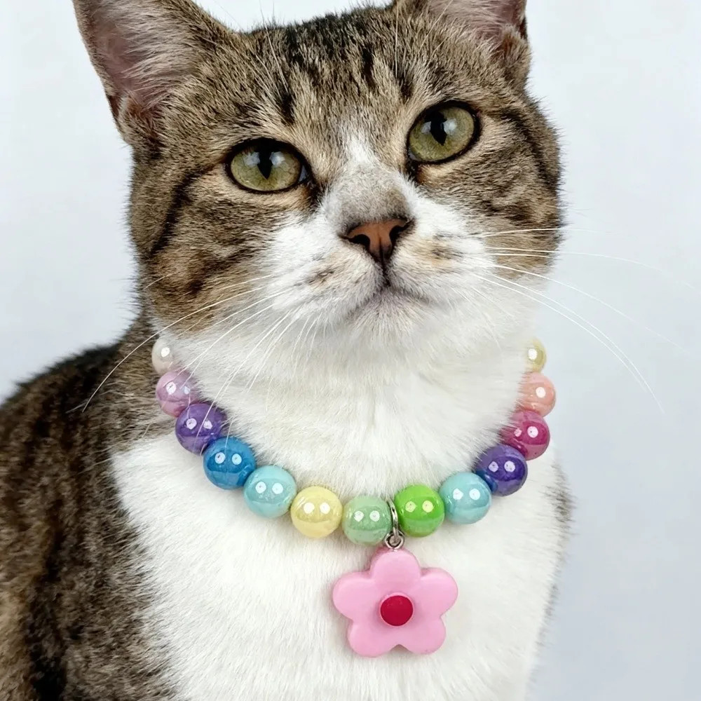 Cute Adjustable Beaded Cat Flower Pendant Candy Color Cat Pet Neck Chain Pet Jew