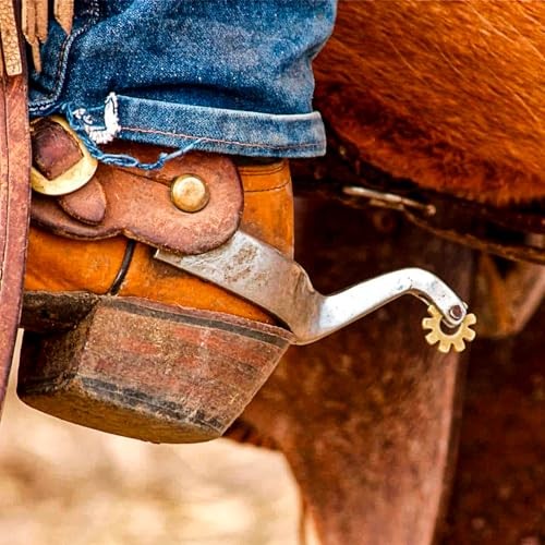 1Pair Horse Spurs for Men Women, Stainless Steel Boot Spurs, Not Rust Spurs