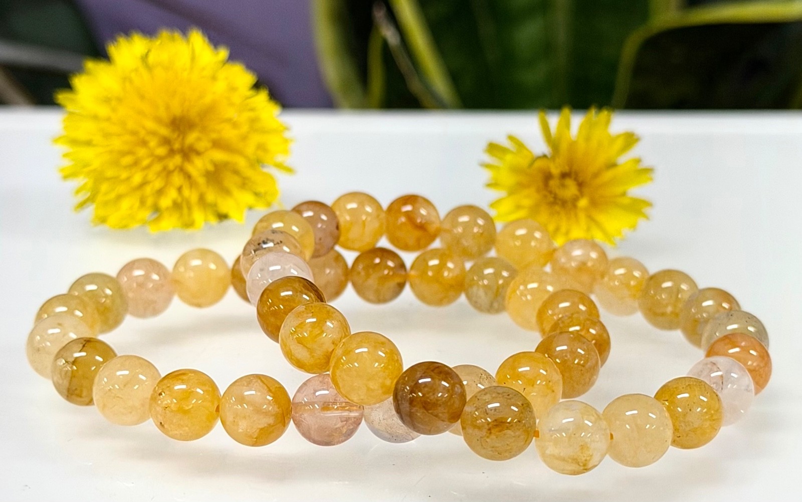 Wholesale Lot 6 Pcs Natural Golden Healer 8mm 7.5” Stretch Bracelet
