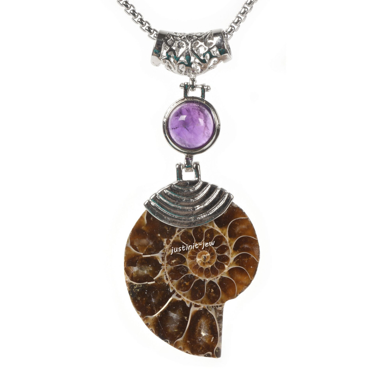 Natural Ammonite Fossil Pendant Bead Amethyst Healing Reiki Necklace 22 inch