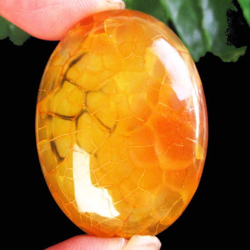 39x29x7mm Yellow Black Dragon Veins Agate Oval Cab Cabochon D93696