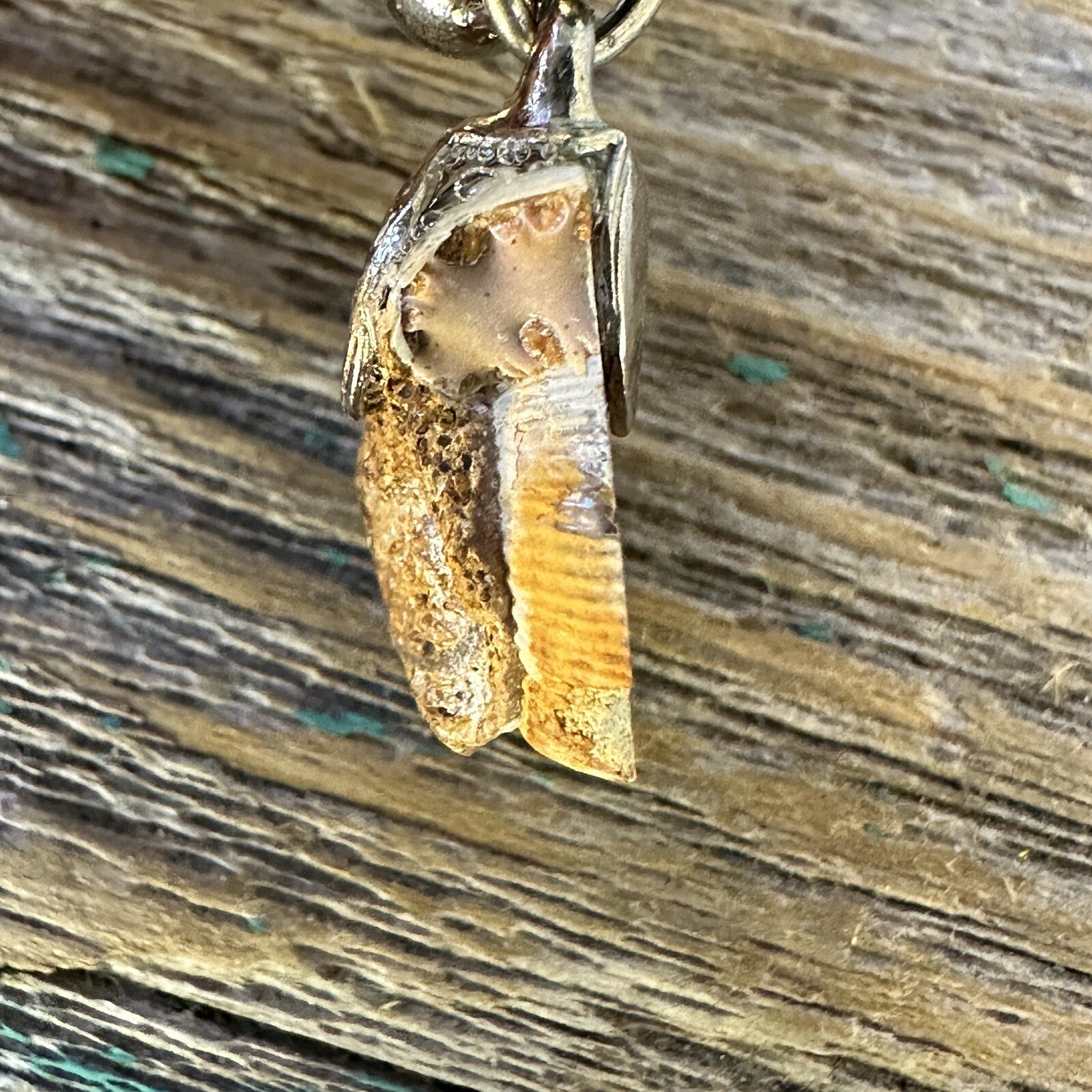 Ammonite Stone Shell Fossil Pendant Necklace 18 Inch Agate Beach Boho Hippie