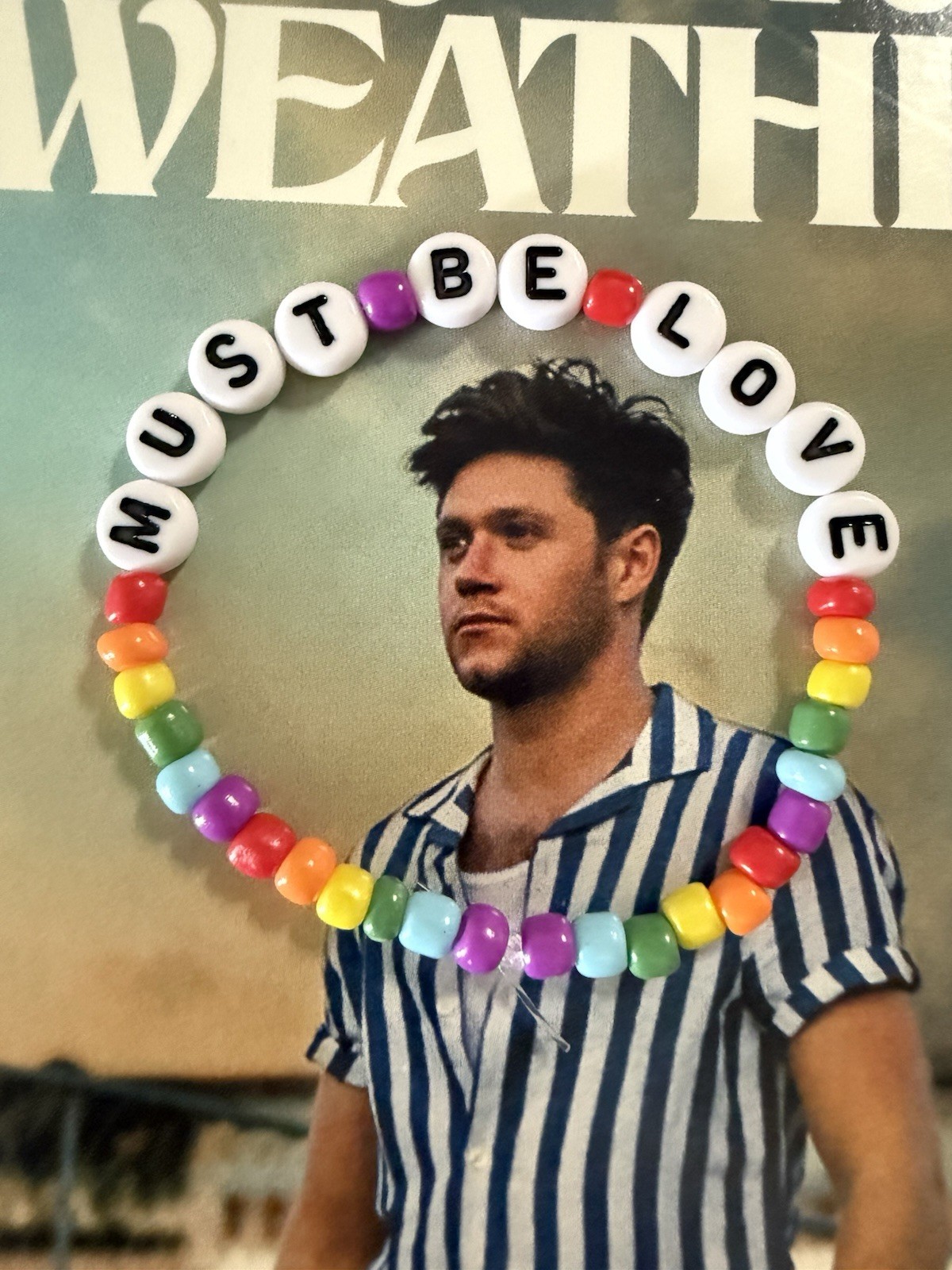 Niall Horan home bracelets 6 count
