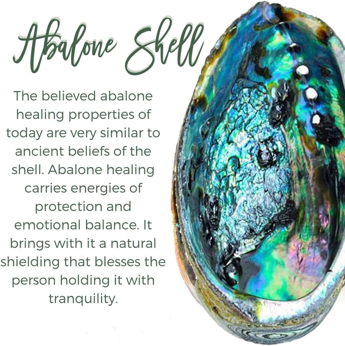 925 Sterling Silver Abalone Shell Drop Pendant Necklace – Perfect Gift for Mom