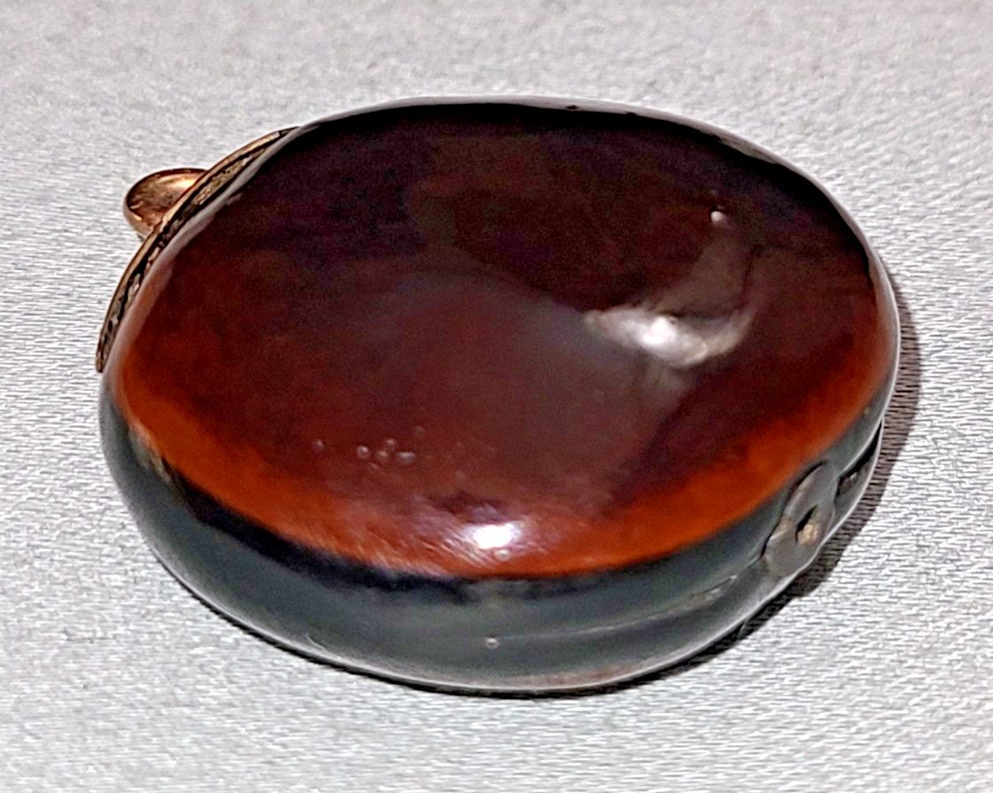 Antique Victorian polished mucuna / sea bean pendant, gold tone bail