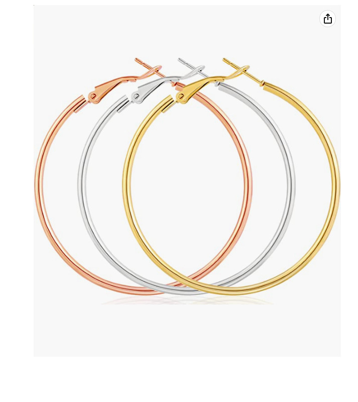 Rose Gold Black Silver Stainless Steel Simple Round Hoop Earrings Swivel Clasp