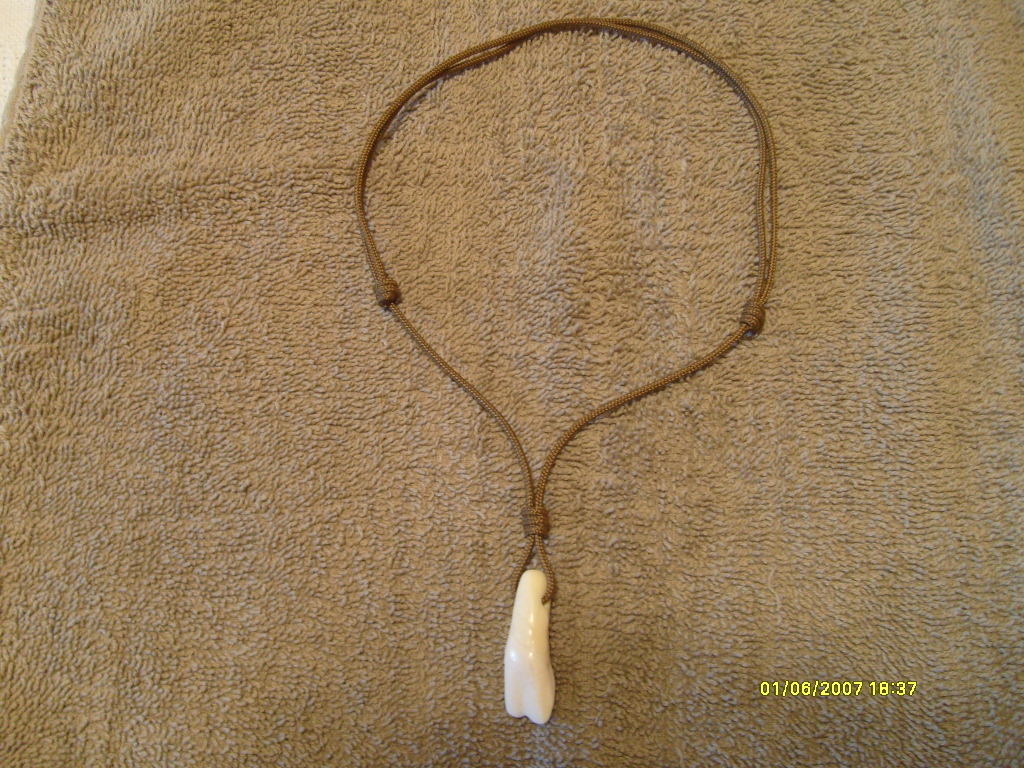 AUTHENTIC BUFFALO TOOTH PENDANT 16” – 28” BOHO NECKLACE (Handmade USA)