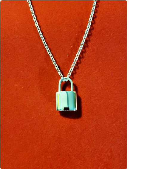 LOCK URN CREMATION ASHES MEMORIAL Pendant 18″ 925 Sterling Silver Necklace Women