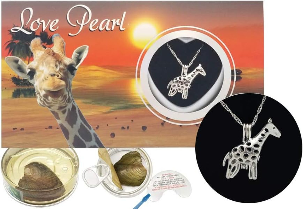 Love Wish Pearl Kit Chain Necklace Pendant Cultured in Set with Stainless Steel