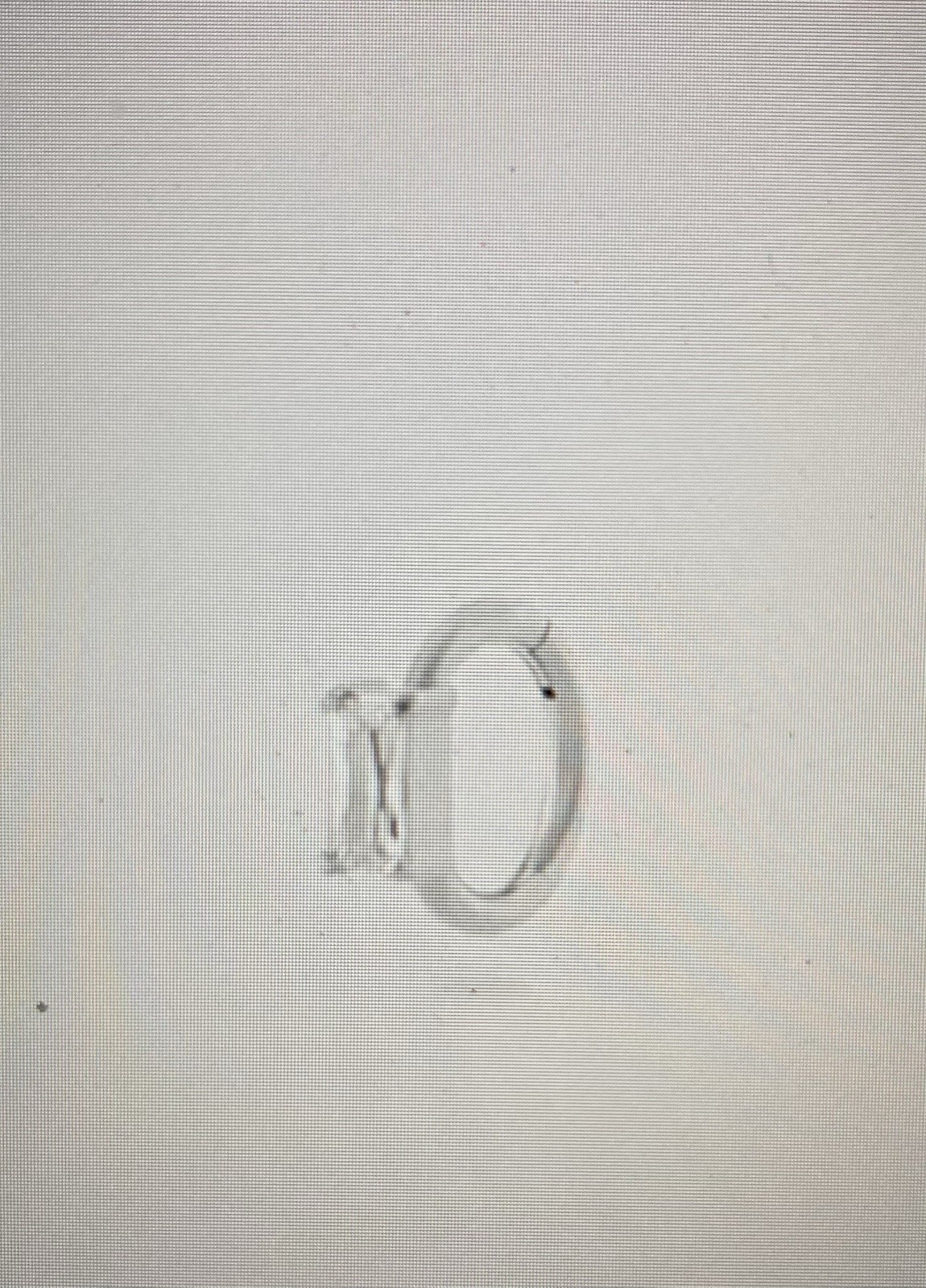 NEW Clickers (2) From STUDS In Silver