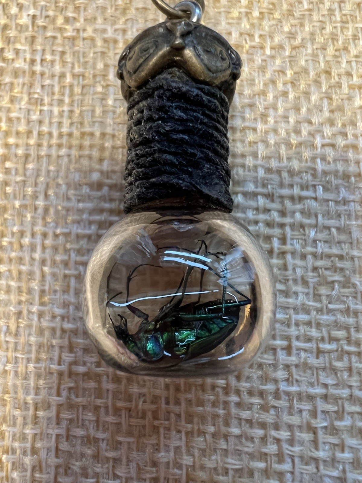 Glass Vial Insect Specimen Necklace Gothic Pendant Iridescent Green Beetle 23”