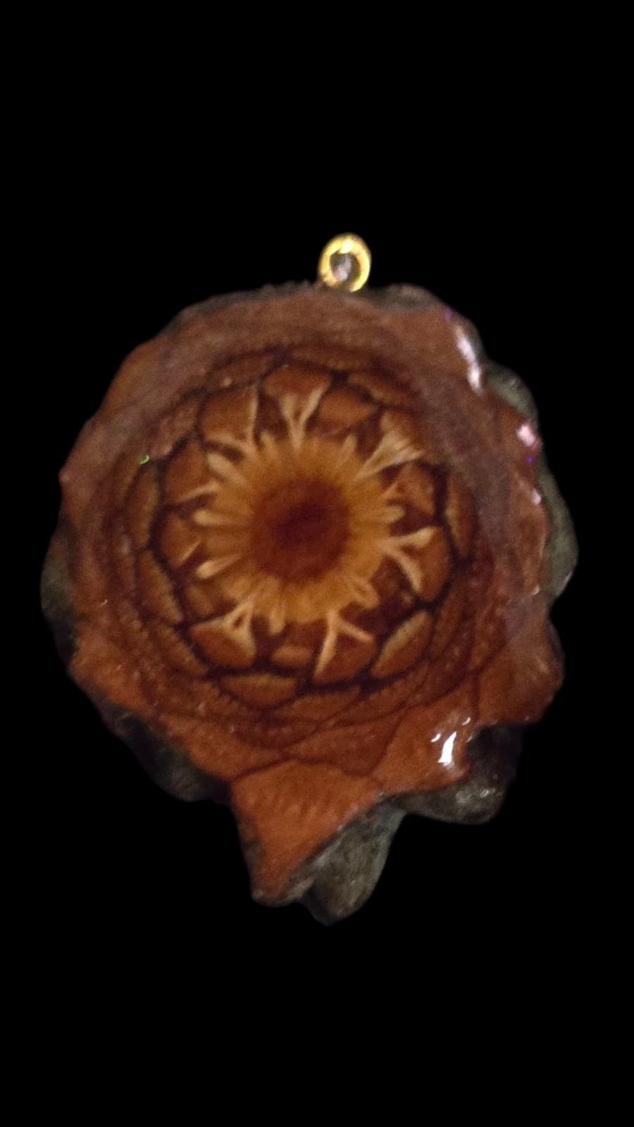 Knobcone PENDANT