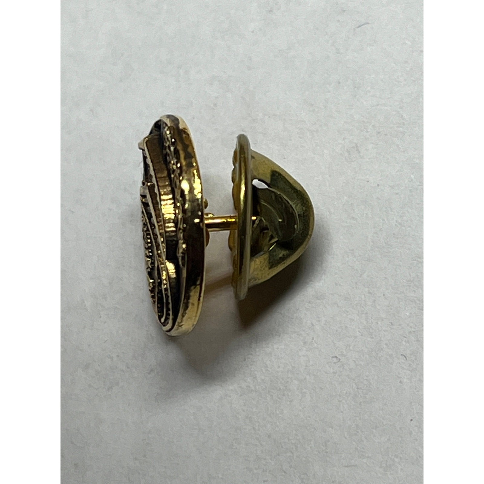 Bridge over water gold tone scene pin. unisex adults.