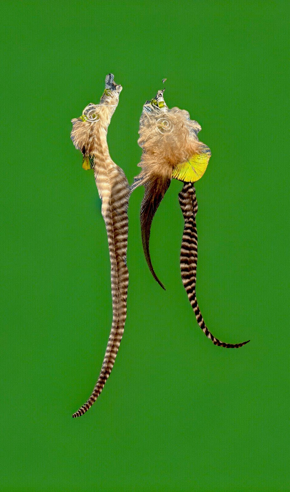 Feather Pair of Earrings Extra Long Natural Mix Whitting Metz 6-9”