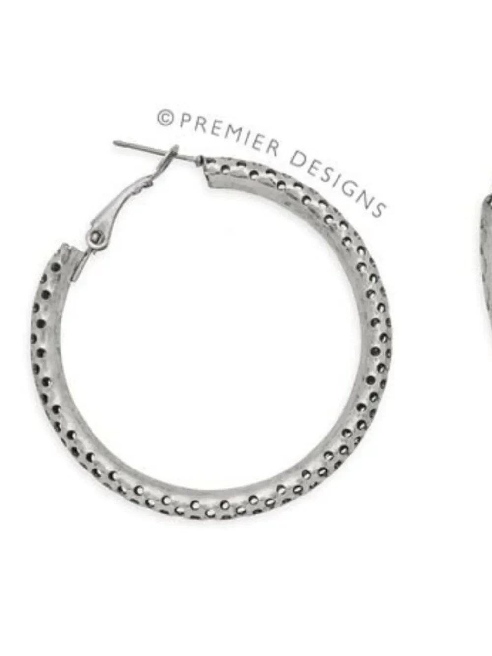 Premier Designs Jewelry IN THE LOOP Silver Pierced Hoop Earrings New