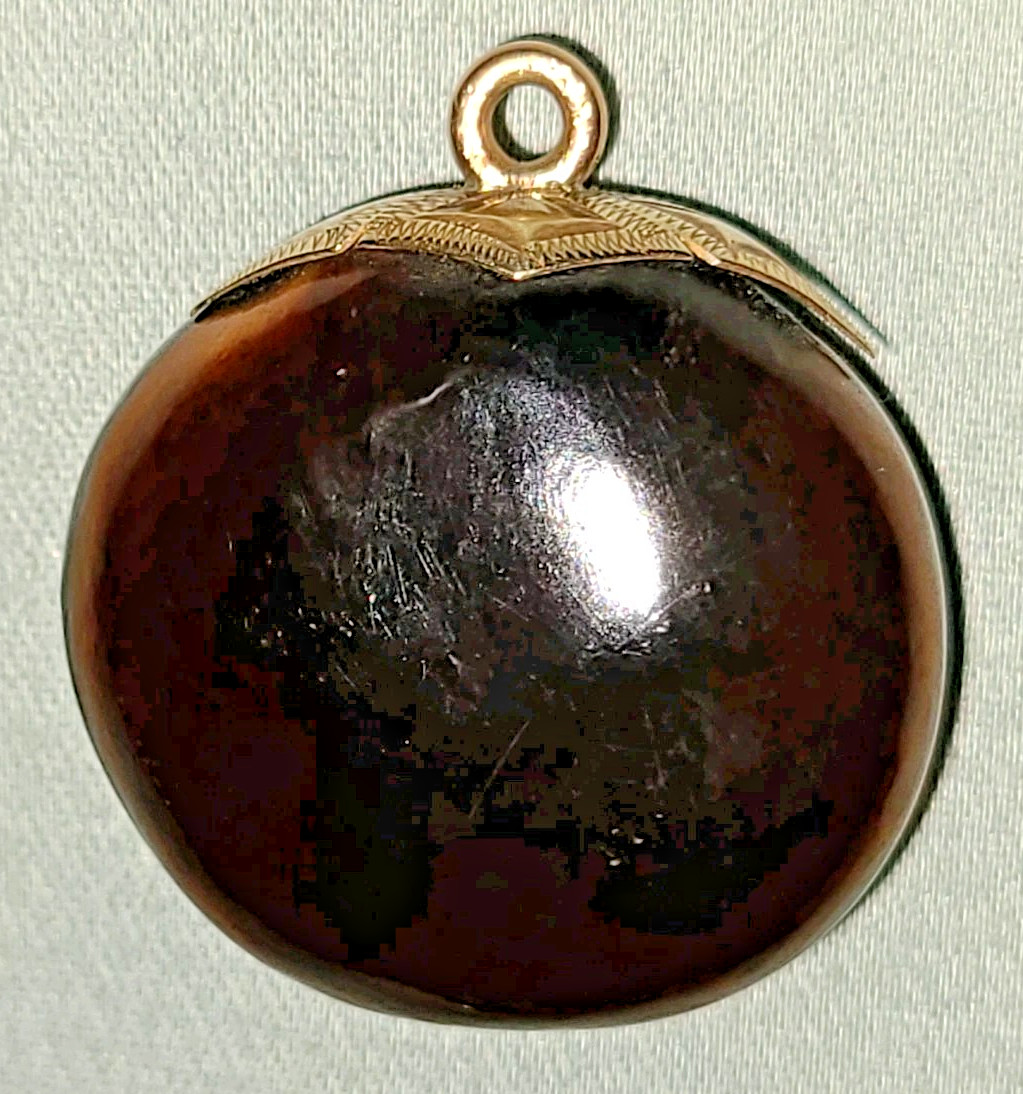Antique Victorian polished mucuna / sea bean pendant, gold tone bail