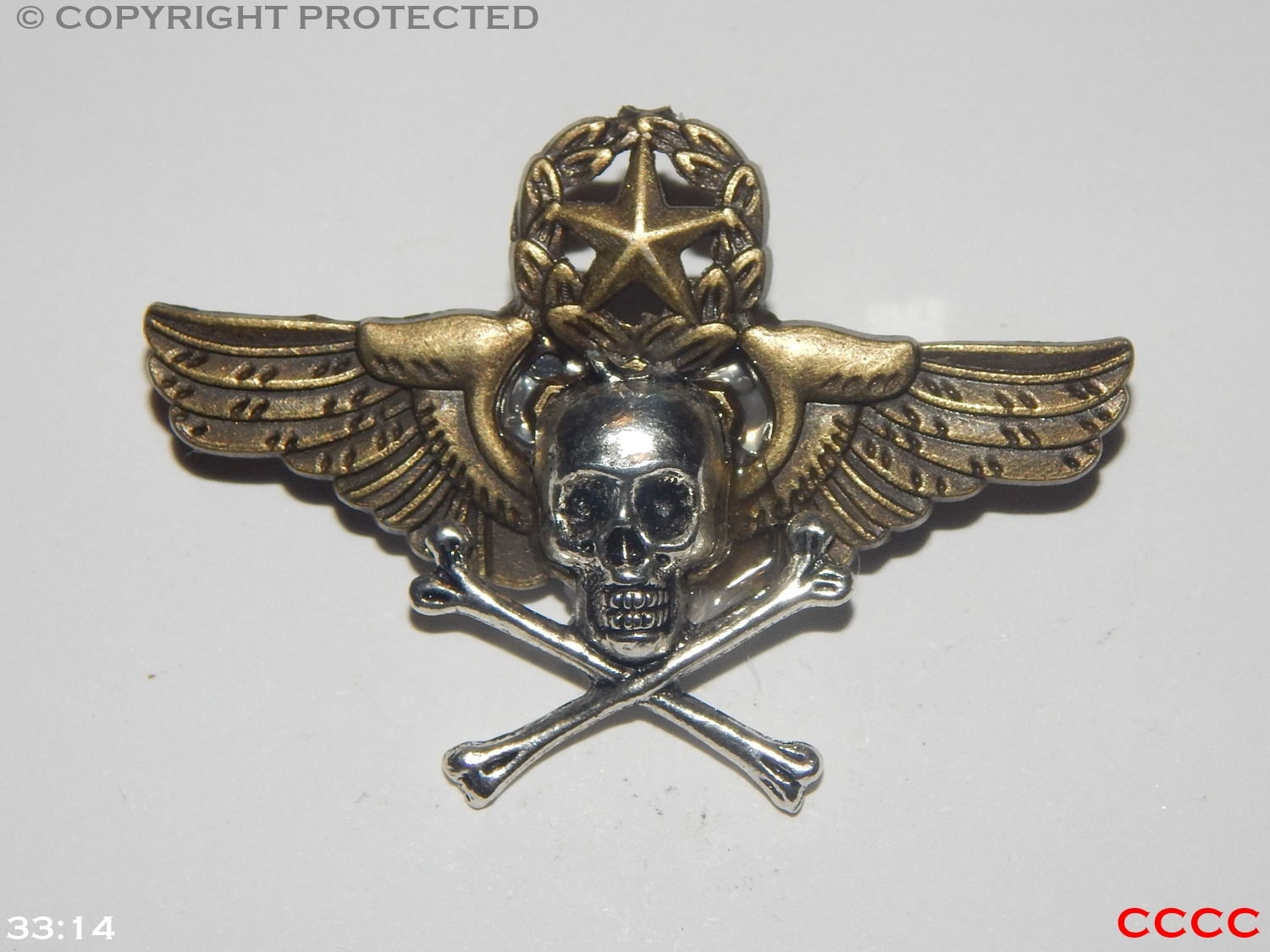 steampunk brooch badge skull & crossbones wings star wreath pirate Black sails