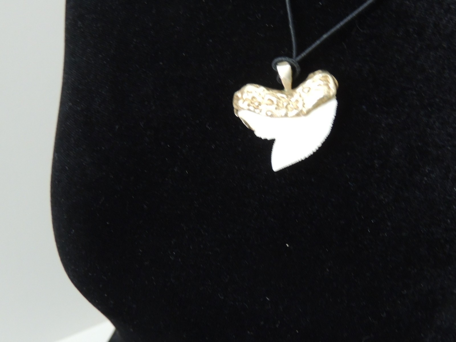 TIGER SHARK TOOTH,MODERN PENDANT HANDMADE 1.5″x1.25″ SILVER/GOLD AMALGAM MOUNT