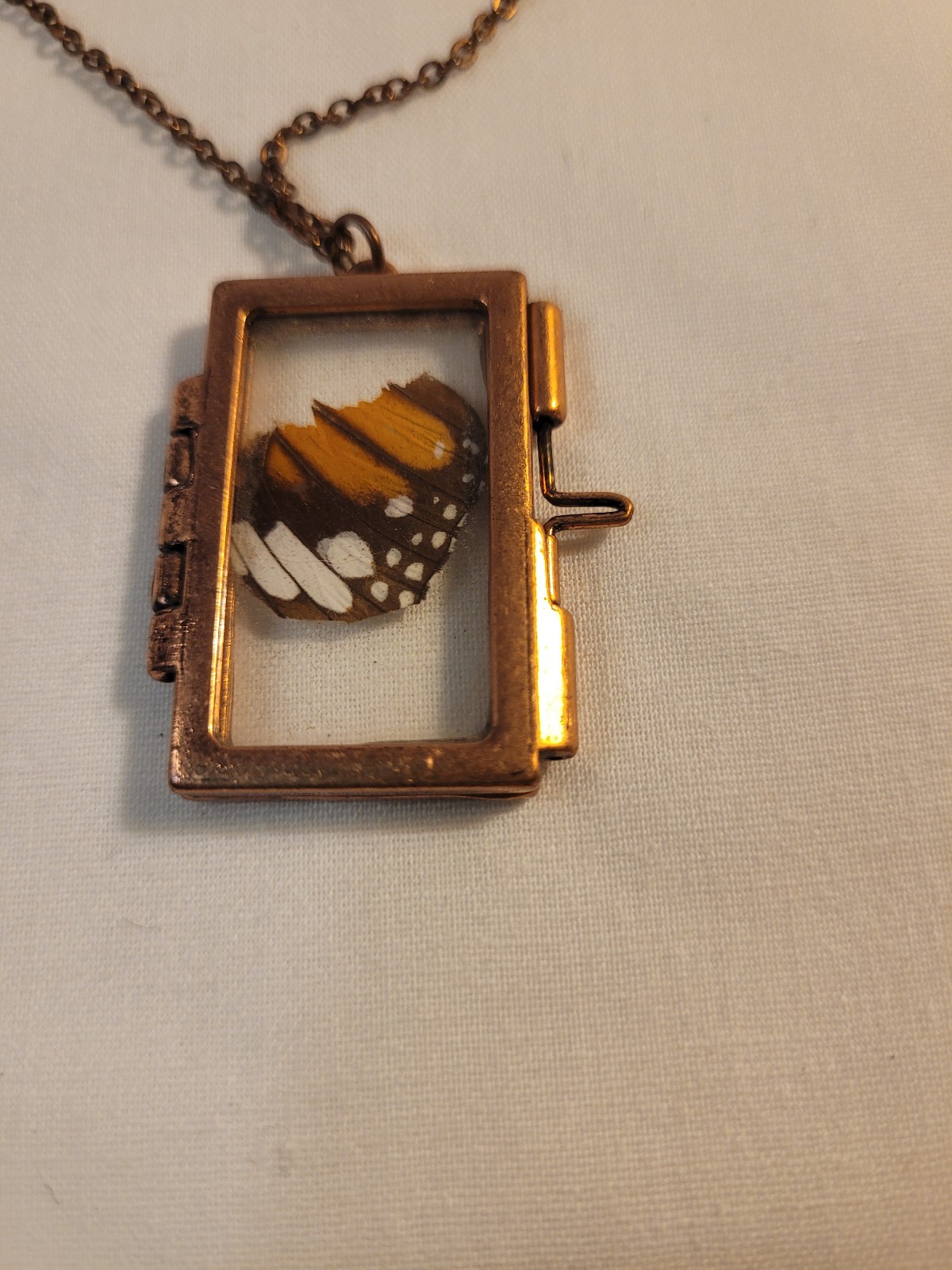 Copper butterfly wing caged locket 31″ chain
