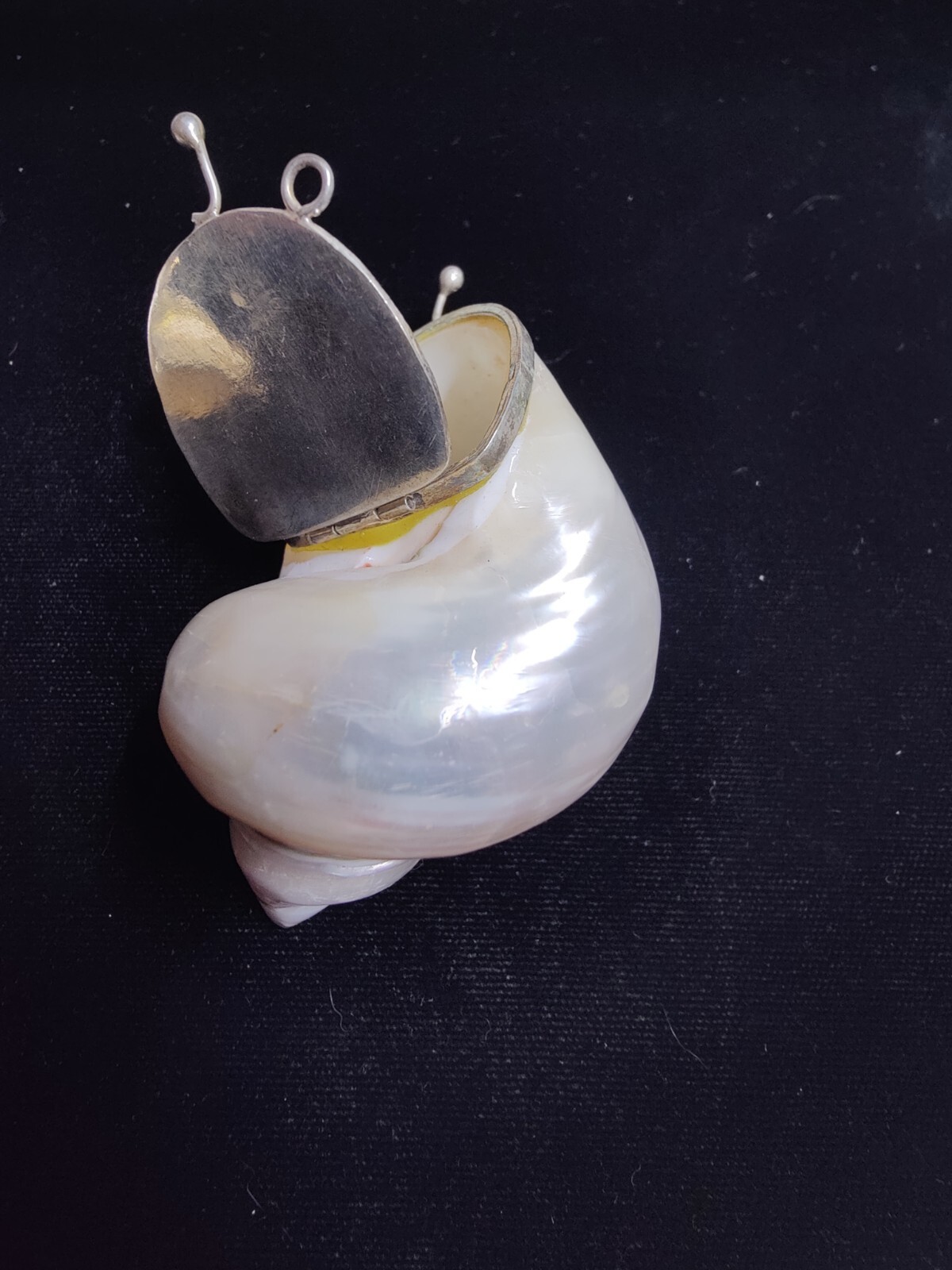 Natural 🐚 Sea Shell Locket With Silver Latch