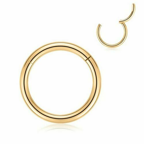 2PC Stainless Steel Segment Hinged Clicker Ear Nose Body Ring Lip Hoop Piercing
