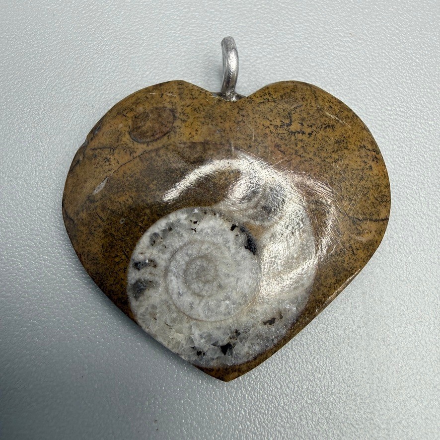 Ammonite Fossil Heart Pendant 1.5″