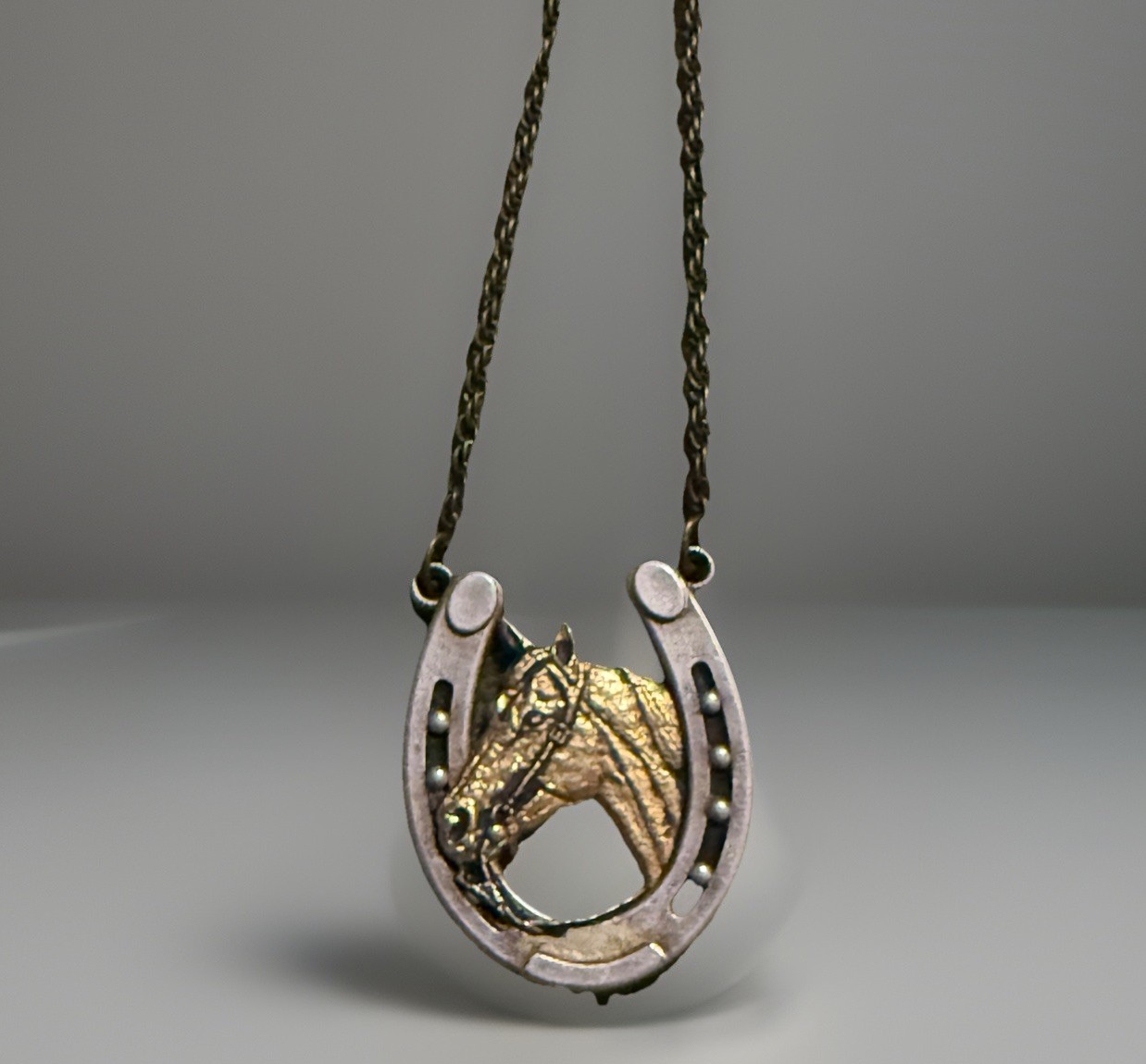 Silver Tone Horse Head Lucky horseshoe Necklace Cowboy Equestrian Animal VTG