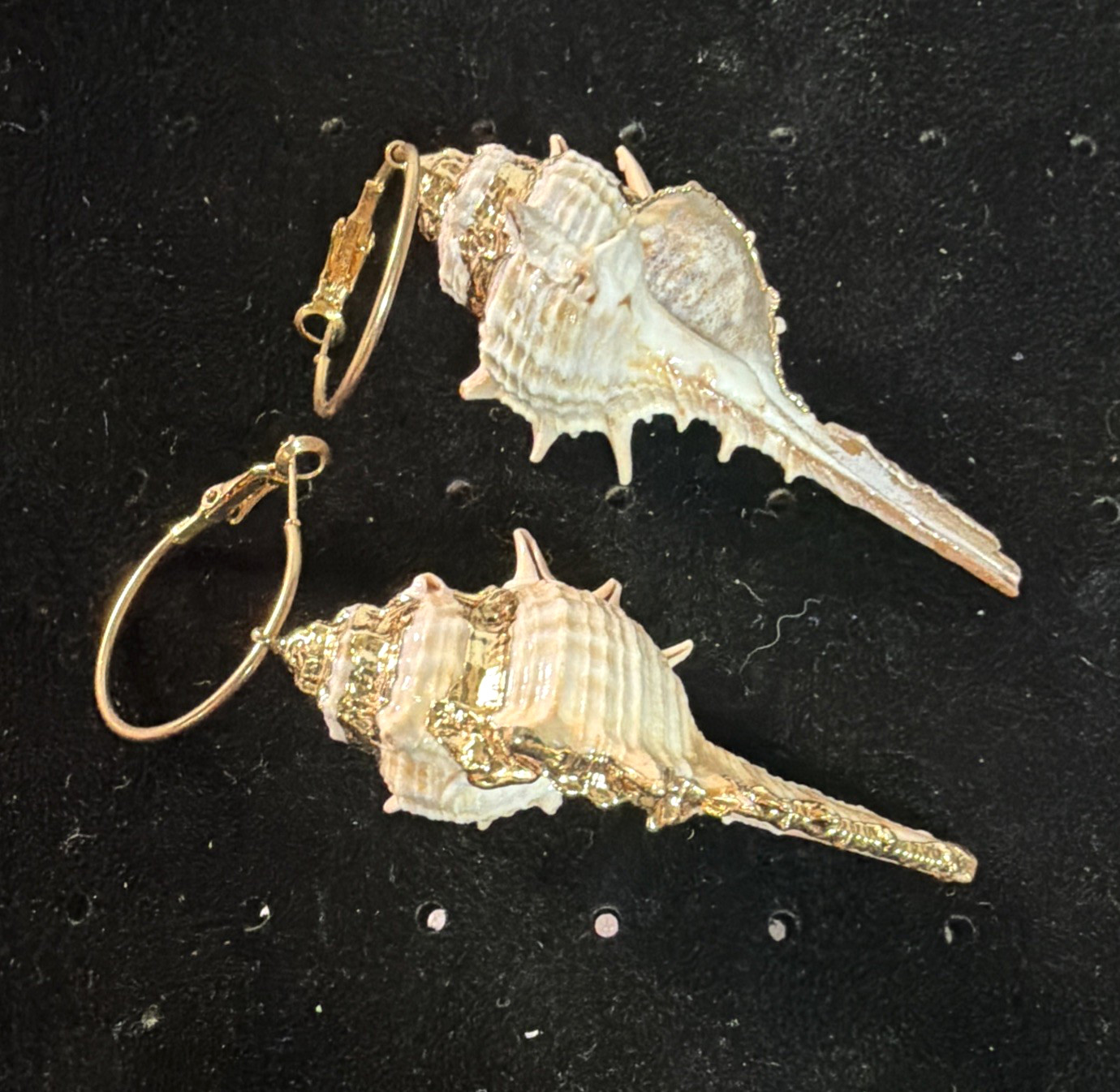 Conch Shell Hoop Dangle Gold Tone Earrings Pierced 3.5 In. Gold Accent