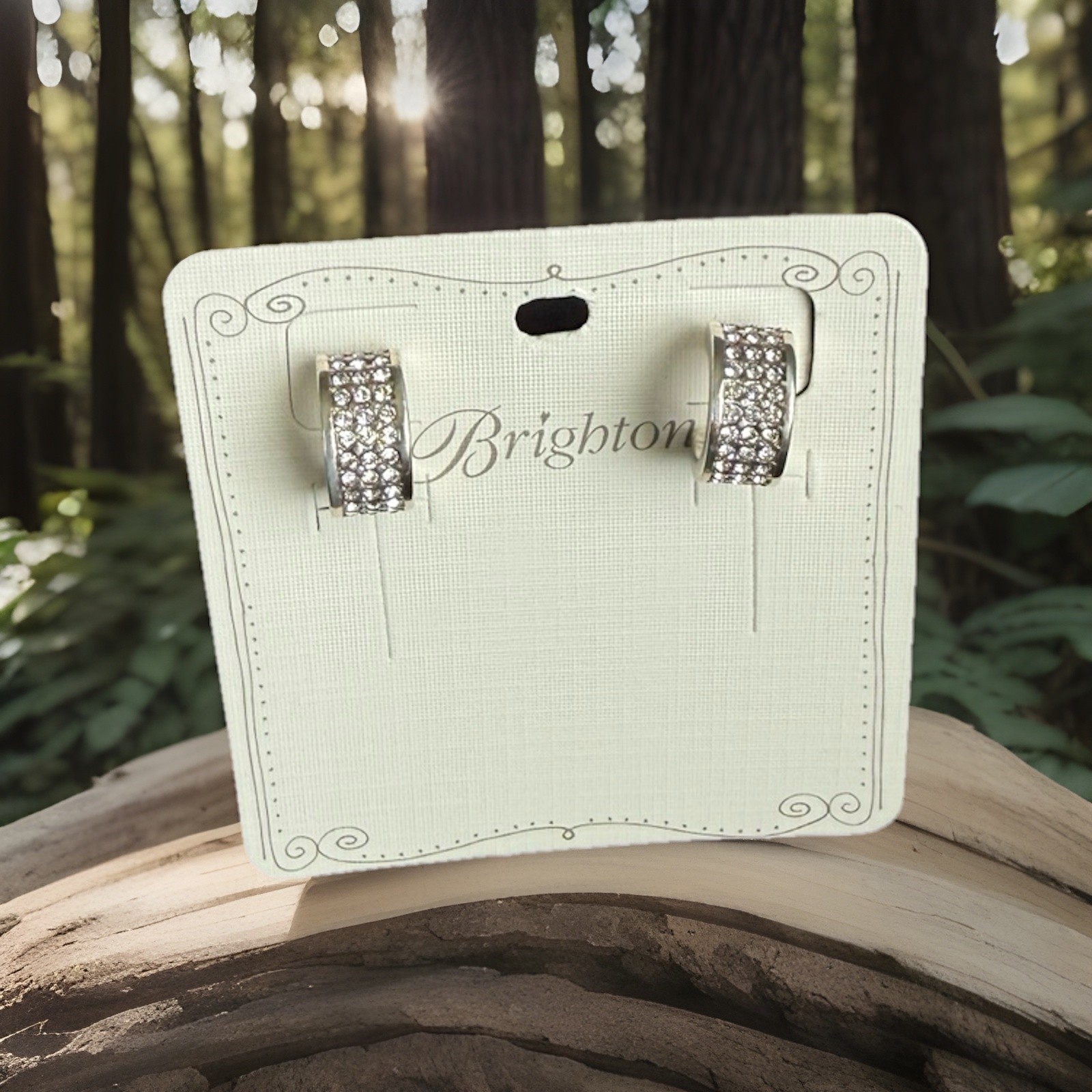 Brighton Earrings Meridian Zenith Hoop Silver Crystal NWT