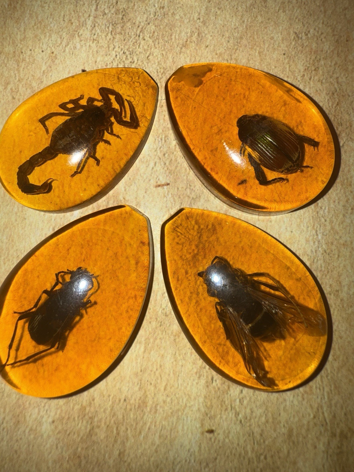 Horror gOdyssey Insect In The Amber Crystal Cage Necklace Goth Jewelry NWT NEW