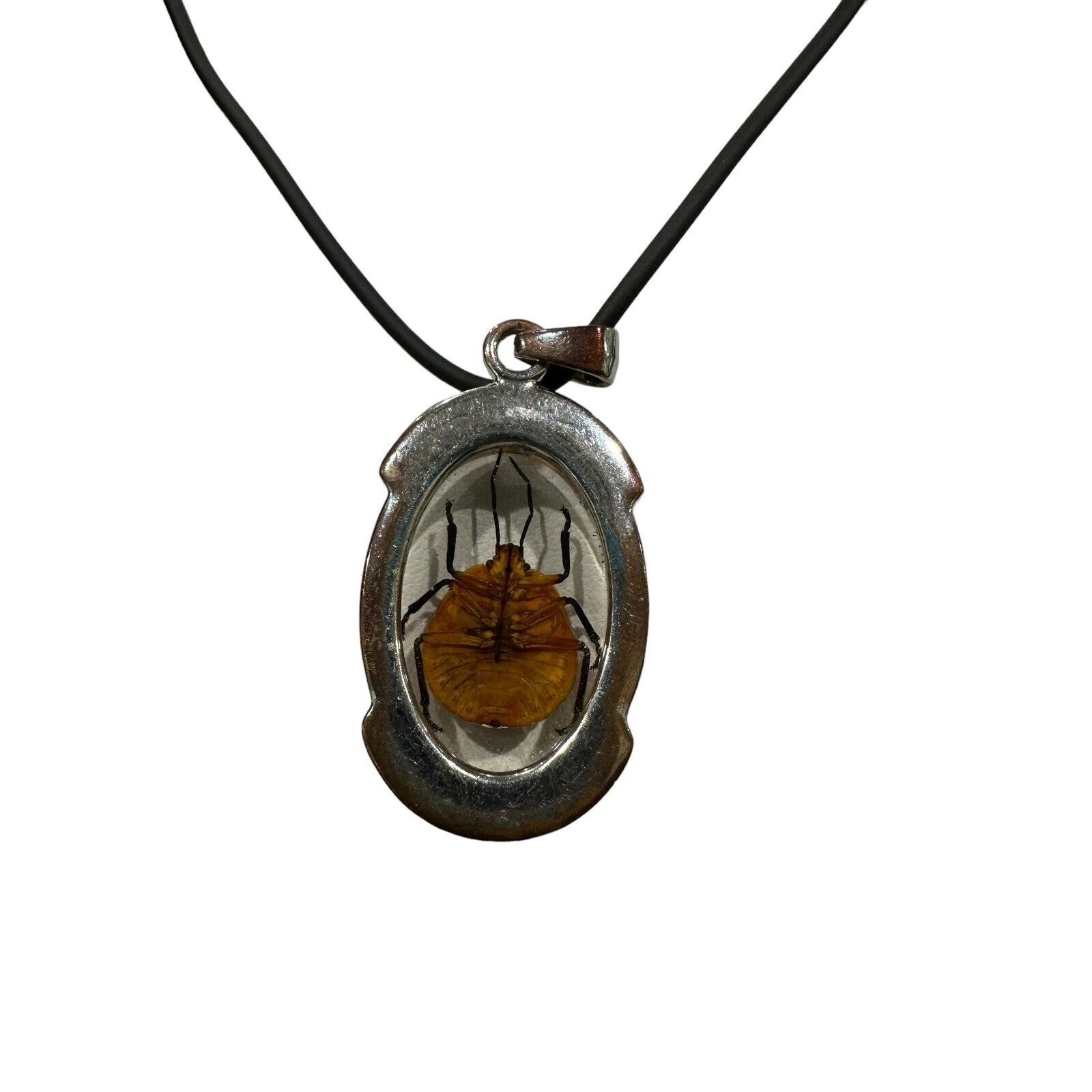 Real Beetle in Lucite With Silver Metal Findings Fancy Necklace Black Cord EUC